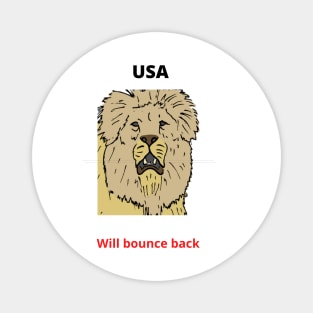 USA will bounce back Magnet